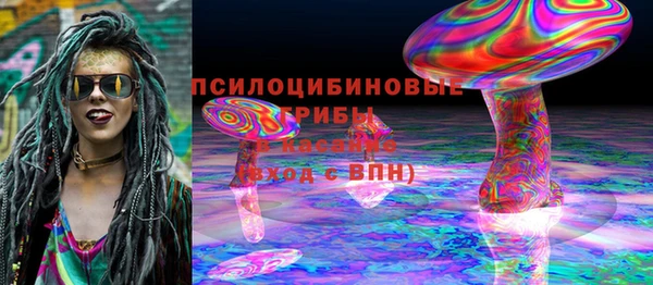 эйфоретик Бородино
