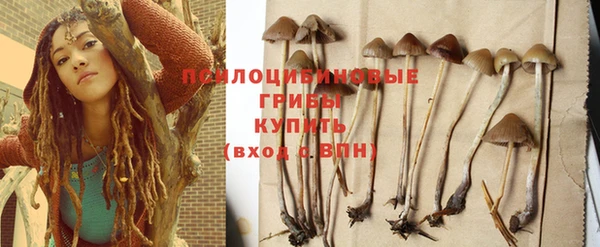 прущие крисы Бугульма